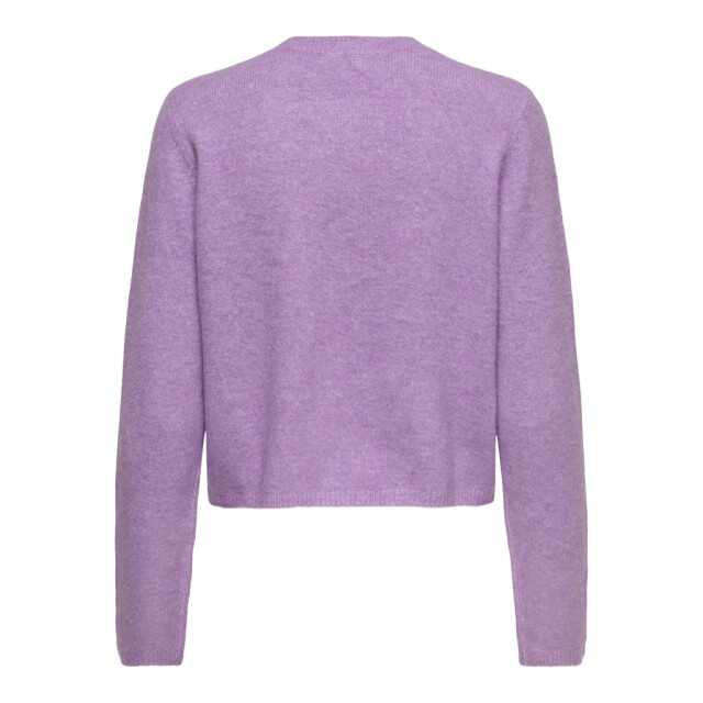 Jacqueline de Yong Jdychloe life ls cardigan knt noos - 4249.50.0007 large