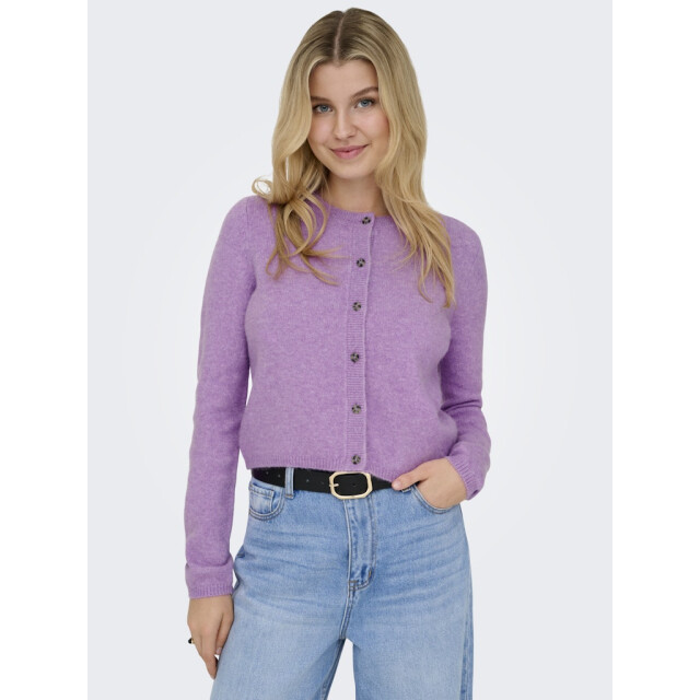 Jacqueline de Yong Jdychloe life ls cardigan knt noos - 4249.50.0007 large