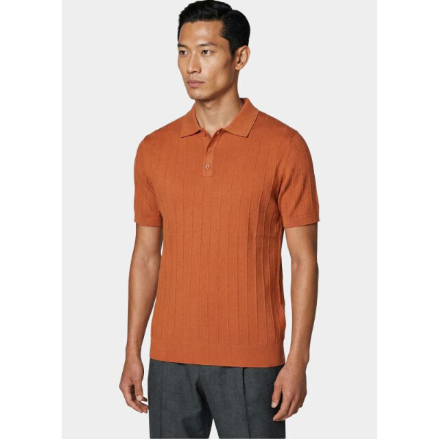 Innocente Polo heren 323/8040 brique 205814 large