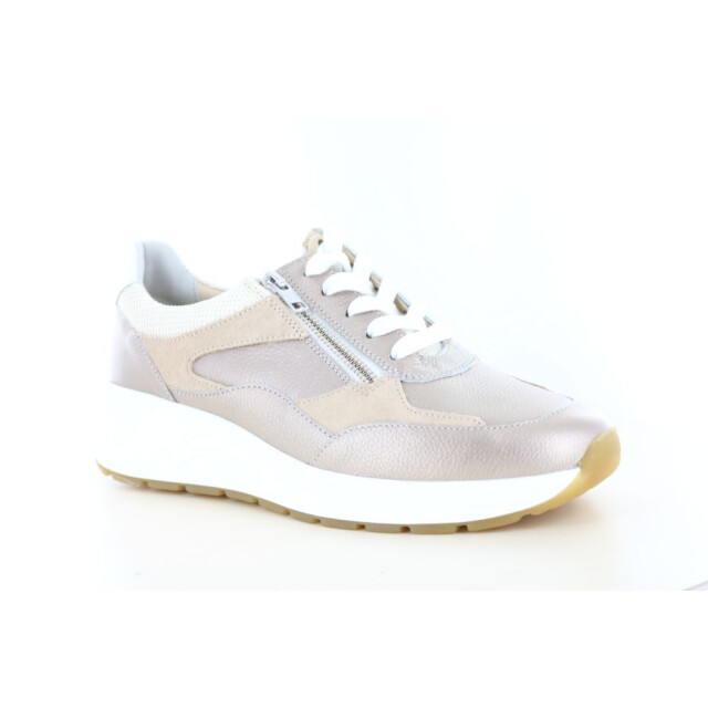 Solidus 59084 wijdte k 237.97.466 large