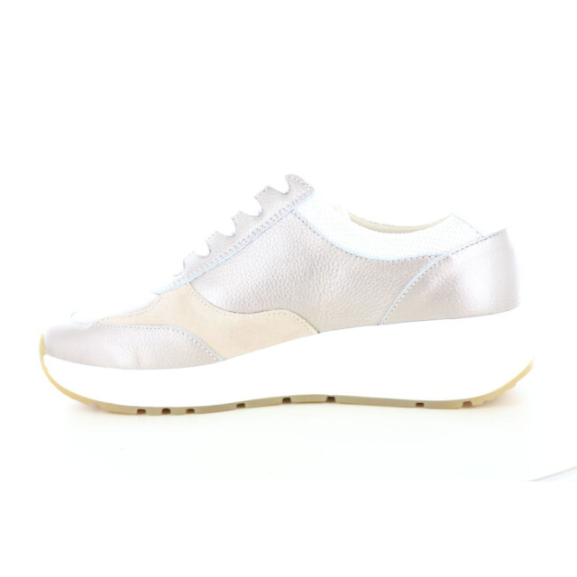 Solidus 59084 wijdte k 237.97.466 large