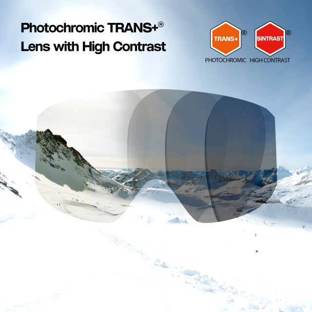 Sinner Taur skibril - 075828_435-1SIZE large