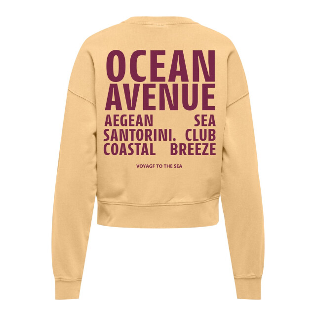 Only Onltabba ls round neck ub swt mango 4209.16.0004 large