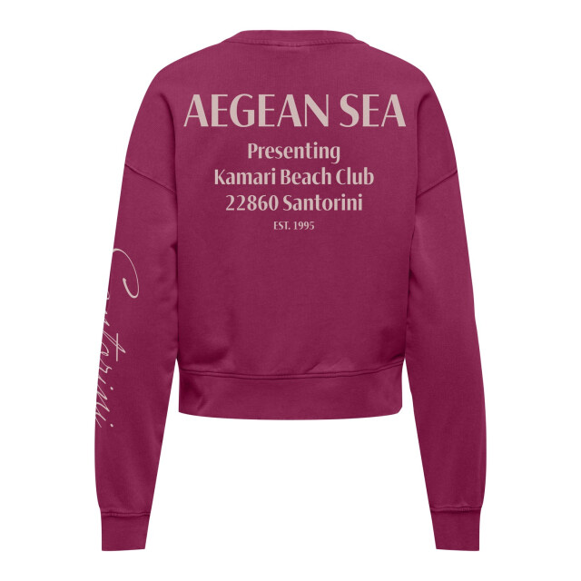 Only Onltabba ls round neck ub swt fuchsia 4209.56.0014 large