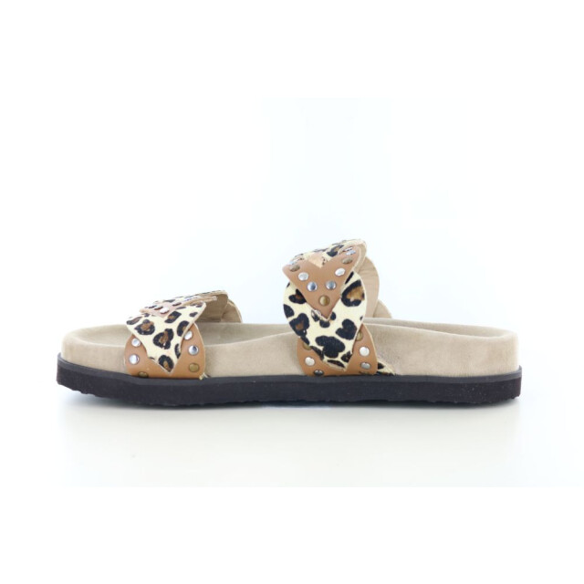 Maruti Evie harion 281.33.032 large