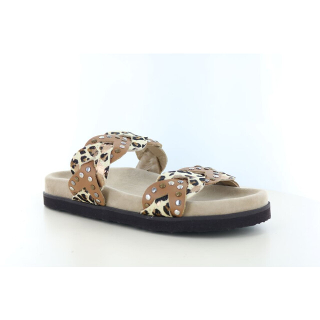 Maruti Evie harion 281.33.032 large