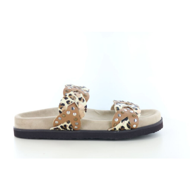 Maruti Evie harion 281.33.032 large