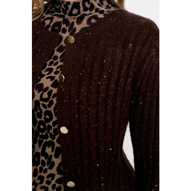 Geisha Cardigan lurex & sequinces Cardigan lurex & sequinces large