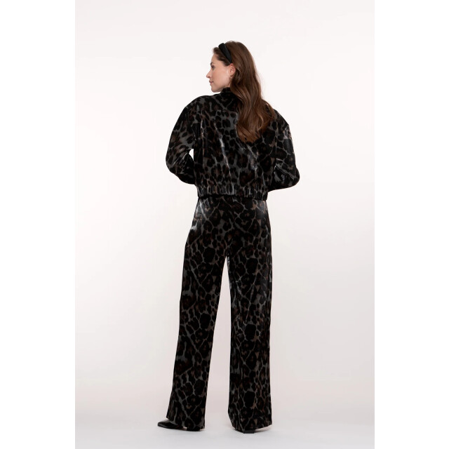 Geisha 51682-20 pants animal 51682-20 Pants animal large