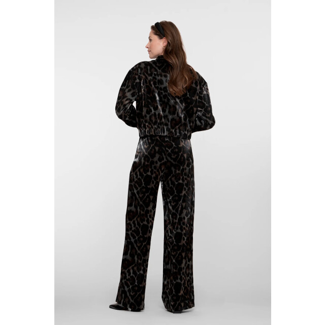 Geisha 51682-20 pants animal 51682-20 Pants animal large