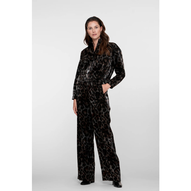 Geisha 51682-20 pants animal 51682-20 Pants animal large