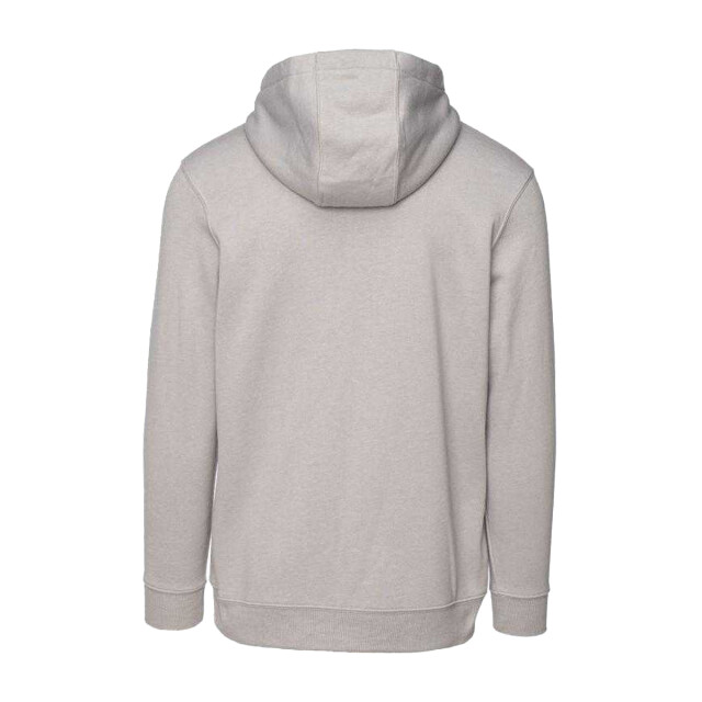 Iguana Heren ricona full zip hoodie UTPP13929_grey large