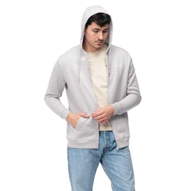 Iguana Heren ricona full zip hoodie UTPP13929_grey large