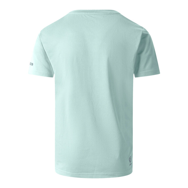 Dare2b Kinderen/kinderen amuse ii aap t-shirt UTRG10262_icymorn large