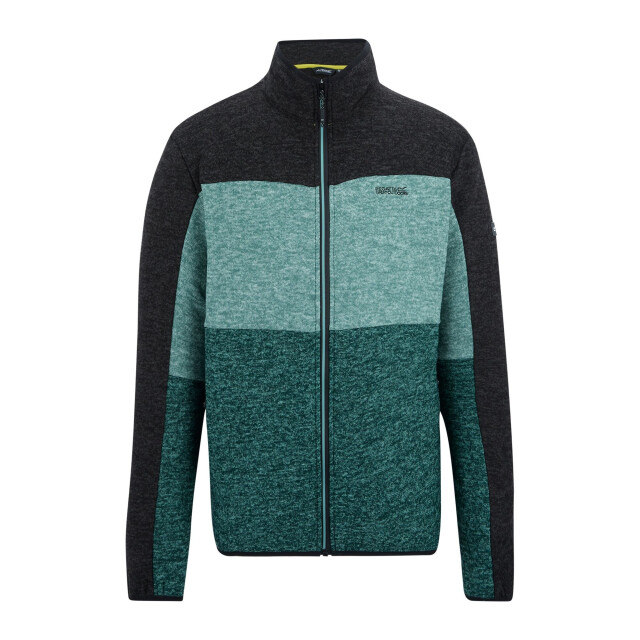 Regatta Heren elram fleece top UTRG13136_mediterraneangreenarcticblack large