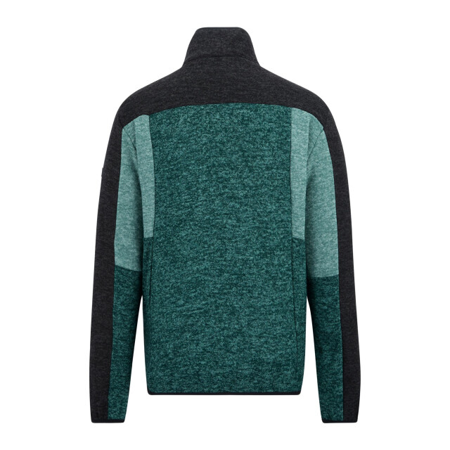 Regatta Heren elram fleece top UTRG13136_mediterraneangreenarcticblack large