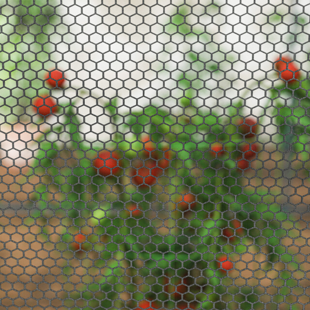 4goodz Mini gaasnet kas plantenbeschermingstent 249x120x120 cm 3601138 large