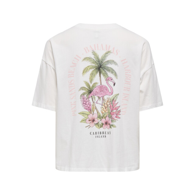 Only Onllucy boxy s/s top jrs 15375977 large