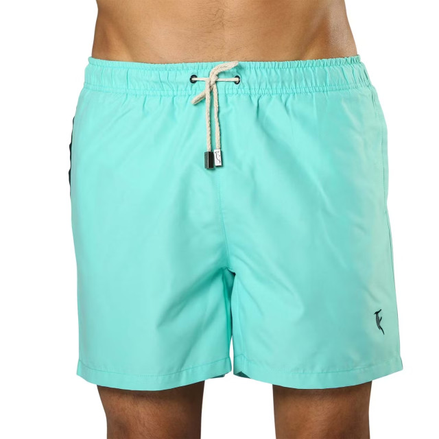 Sanwin Zwemshort miami fern green SMFG large