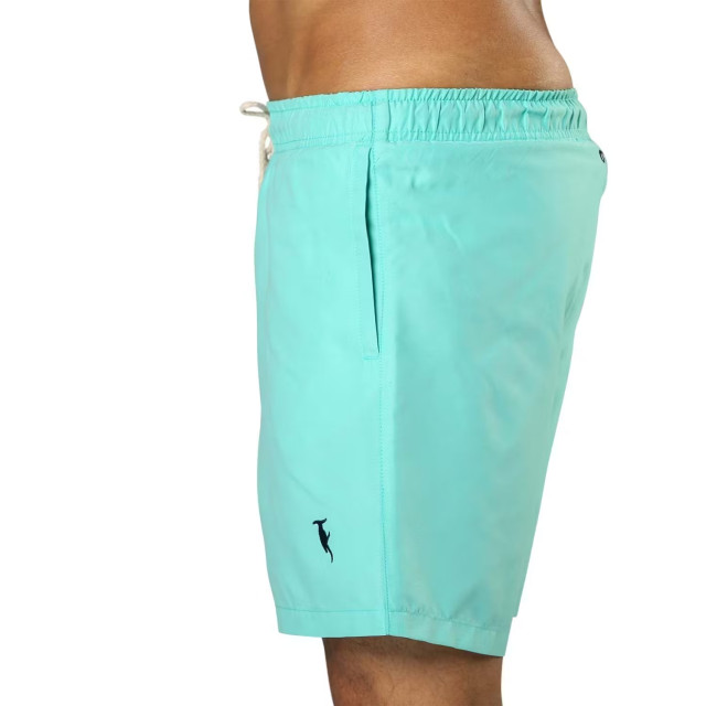 Sanwin Zwemshort miami fern green SMFG large