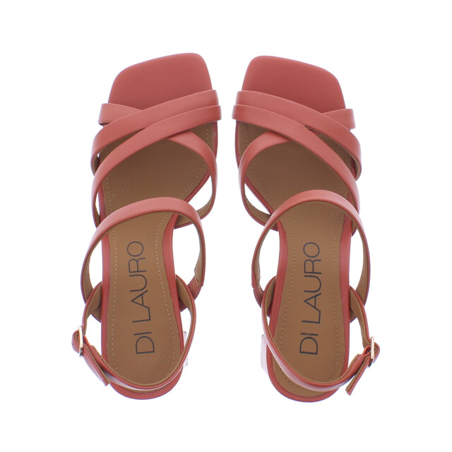 Di Lauro Sandalen 108127 108127 large