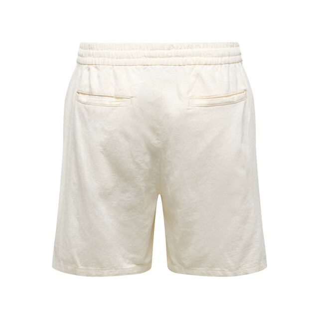 Only & Sons Onstel 0570 shorts 22036371 large