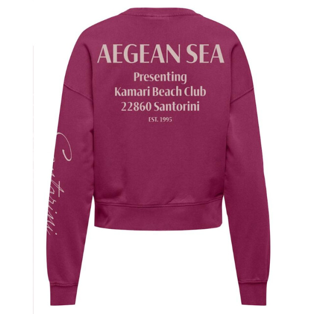 Only Onltabba l/s round neck ub swt 15372426 large