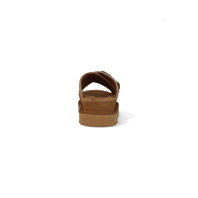 Warmbat Slippers wondai 34wnd311025 34WND311025 large