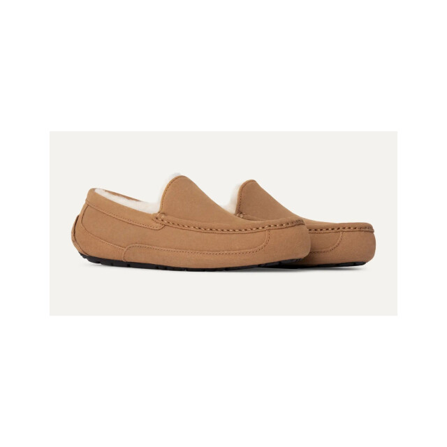 UGG Australia Ascot pantoffels 1101110 1101110 large