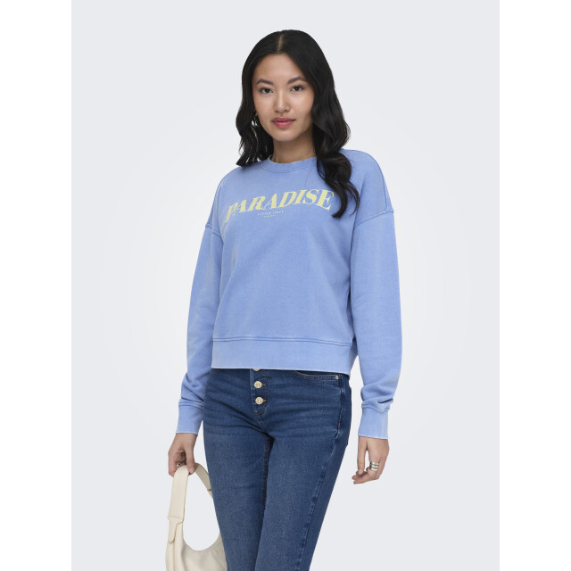 Only Onltabba l/s round neck ub swt 15372426 large