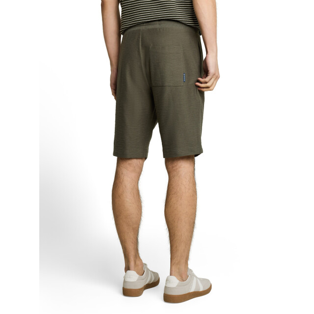 Tom Tailor Structured shorts 1051186 large
