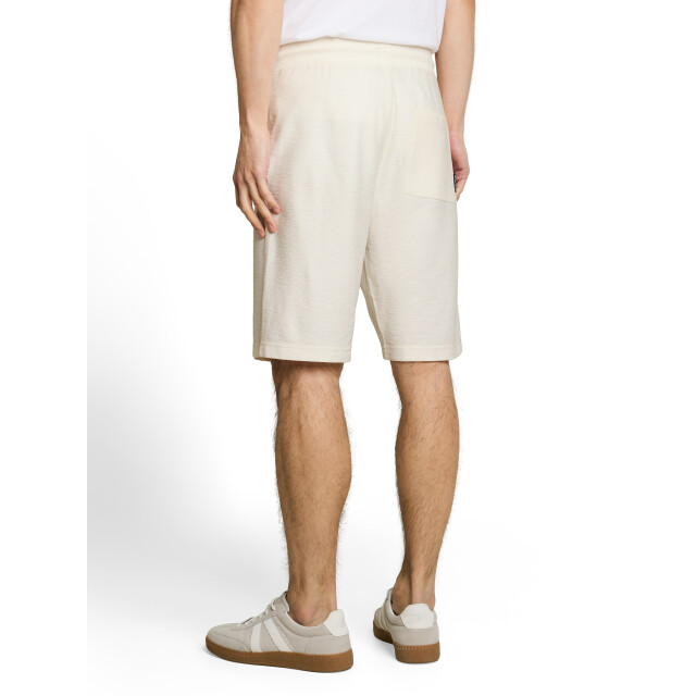 Tom Tailor Structured shorts 1051186 large
