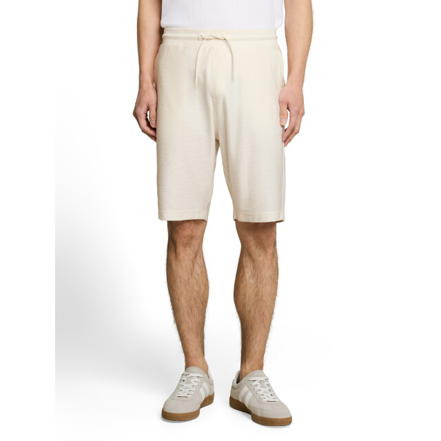 Tom Tailor Structured shorts 1051186 large