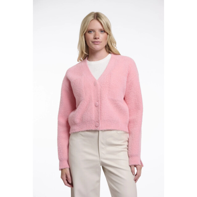 Rino & Pelle Isarea.5002621 rino&pelle short v-neck cardigan cotton candy Isarea.5002621 Cotton candy large