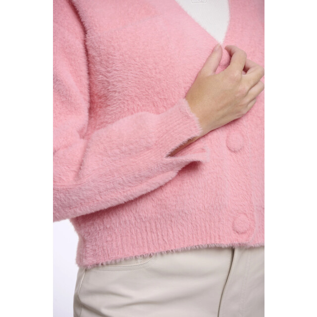 Rino & Pelle Isarea.5002621 rino&pelle short v-neck cardigan cotton candy Isarea.5002621 Cotton candy large