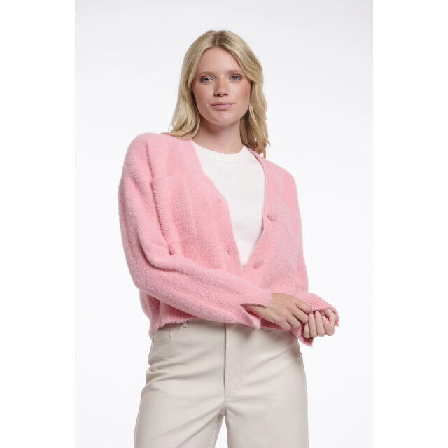Rino & Pelle Isarea.5002621 rino&pelle short v-neck cardigan cotton candy Isarea.5002621 Cotton candy large