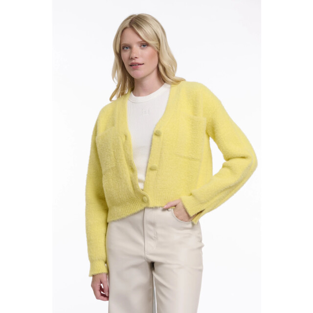 Rino & Pelle Isarea.5002621 rino&pelle short v-neck cardigan breezy lime Isarea.5002621 Breezy lime large