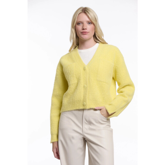 Rino & Pelle Isarea.5002621 rino&pelle short v-neck cardigan breezy lime Isarea.5002621 Breezy lime large