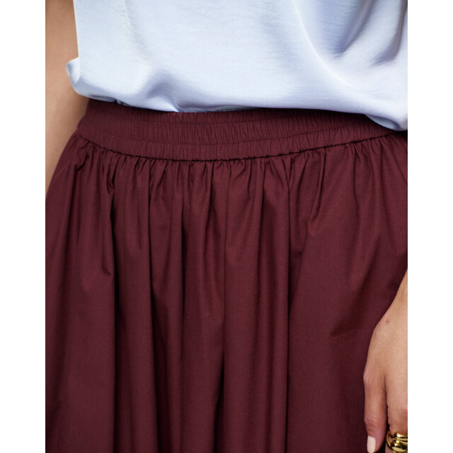 Dante 6 Rok 262176 gisole Dante 6 Rok 262176 GISOLE large