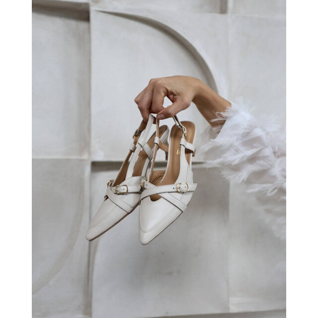 Babouche Pumps g-joy-1 Babouche Pumps G-JOY-1 large