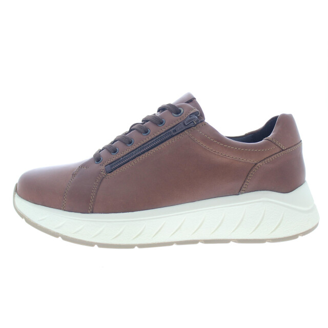Solidus Ken 71124-30309 large