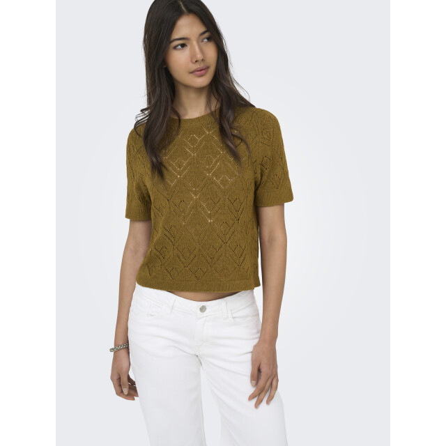 Only Onlsunny s/s structure pullover knt 15350928 large