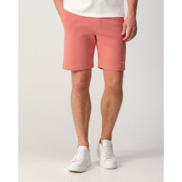 Cavallaro Cavallaro korte broek 109053-001-L large