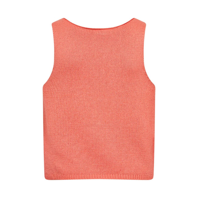 Free Quent Fqgrscaliva top fresh salmon 206252-8331 large