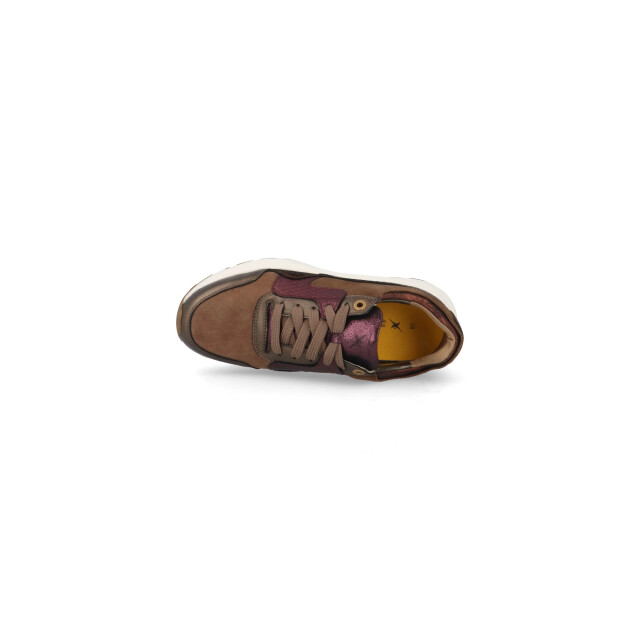 Xsensible 33000.2 GX Golden Gate Lady Sneakers Goud 33000.2 GX Golden Gate Lady large