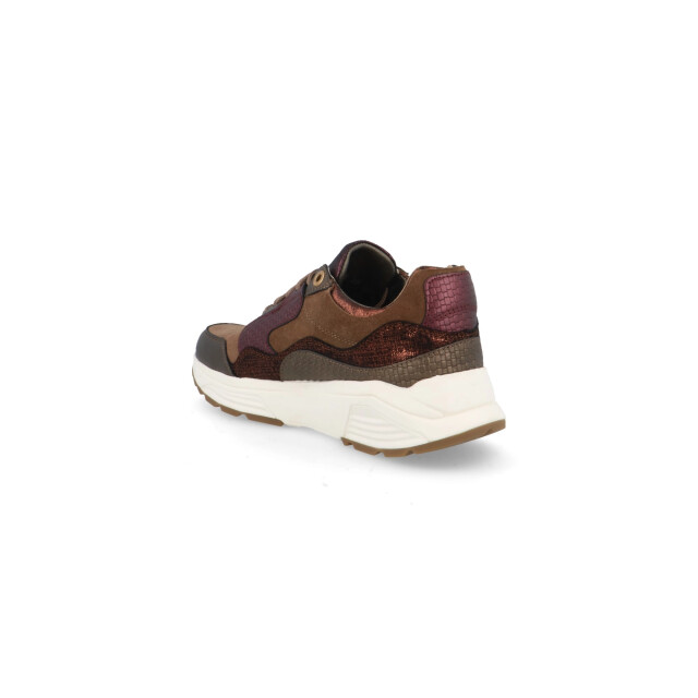 Xsensible 33000.2 GX Golden Gate Lady Sneakers Goud 33000.2 GX Golden Gate Lady large