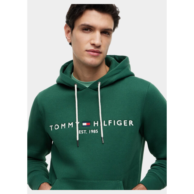 Tommy Hilfiger Hoodie heren tommy logo hoody mw0mw11599/l2n 209495 large