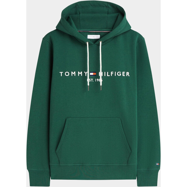 Tommy Hilfiger Hoodie heren tommy logo hoody mw0mw11599/l2n 209495 large