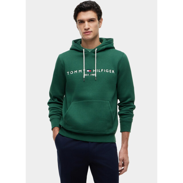 Tommy Hilfiger Hoodie heren tommy logo hoody mw0mw11599/l2n 209495 large