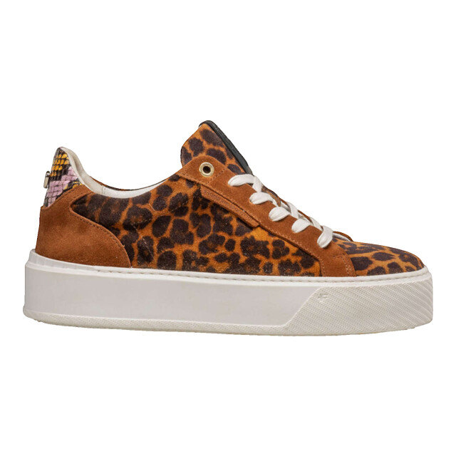 Floris van Bommel Floris Van Bommel SFW-10106.-23-01 Sneakers Bruin Floris Van Bommel SFW-10106.-23-01 large